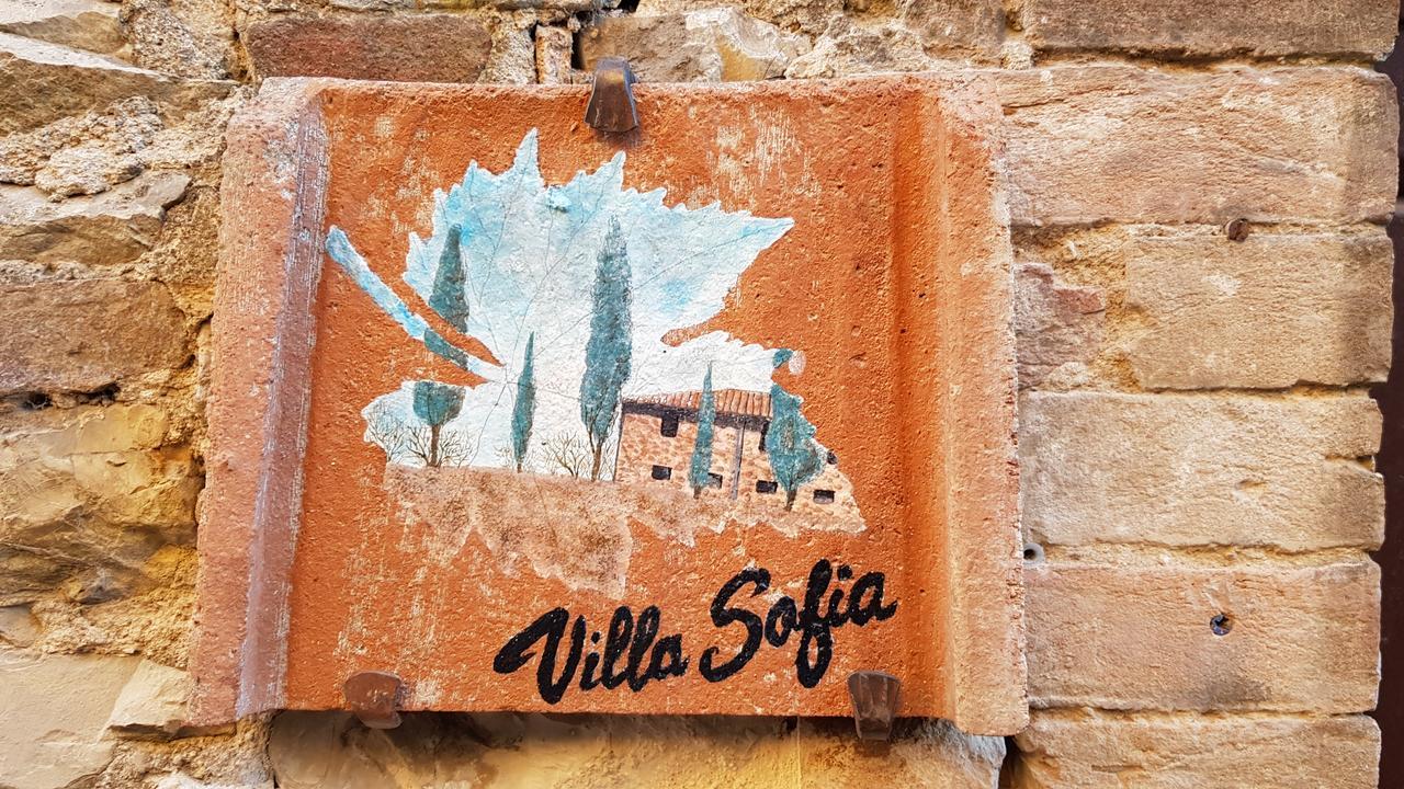 Villa Sofia & Spa ガイオーレ・イン・キアンティ エクステリア 写真